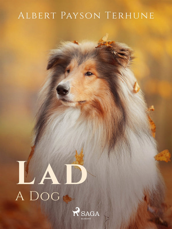 Lad: A Dog – E-bok – Laddas ner-Digitala böcker-Axiell-peaceofhome.se