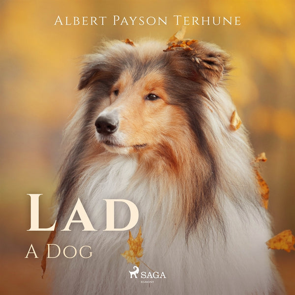Lad: A Dog – Ljudbok – Laddas ner-Digitala böcker-Axiell-peaceofhome.se