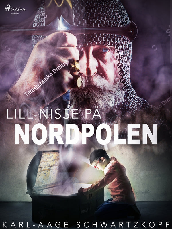 Lill-Nisse på Nordpolen – E-bok – Laddas ner-Digitala böcker-Axiell-peaceofhome.se