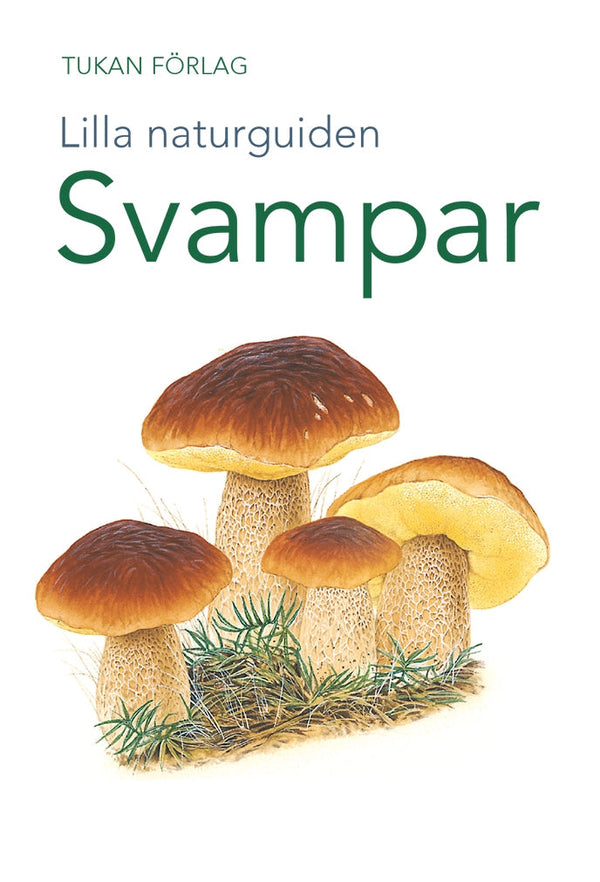 Lilla naturguiden: svampar – E-bok – Laddas ner-Digitala böcker-Axiell-peaceofhome.se