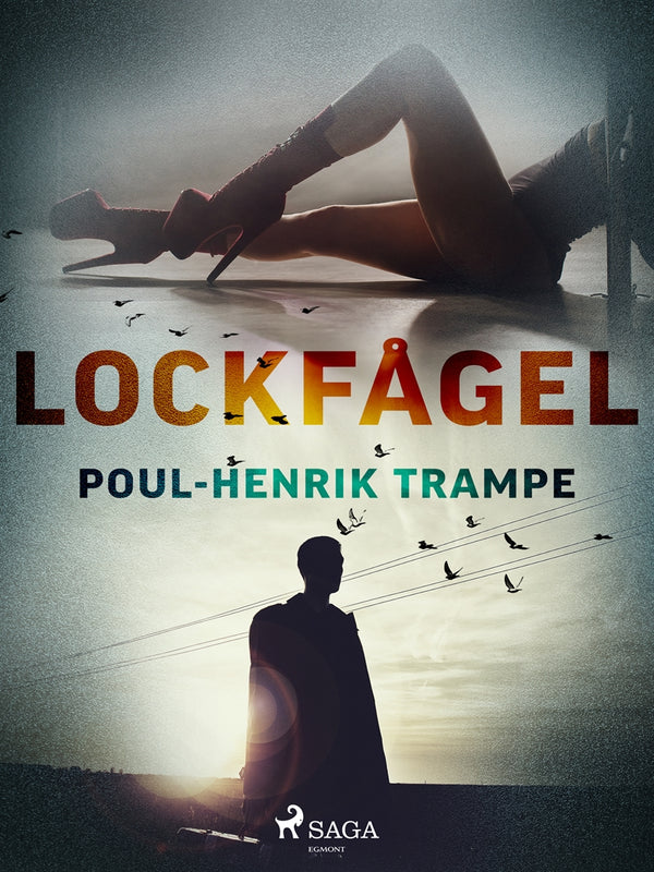 Lockfågel – E-bok – Laddas ner-Digitala böcker-Axiell-peaceofhome.se