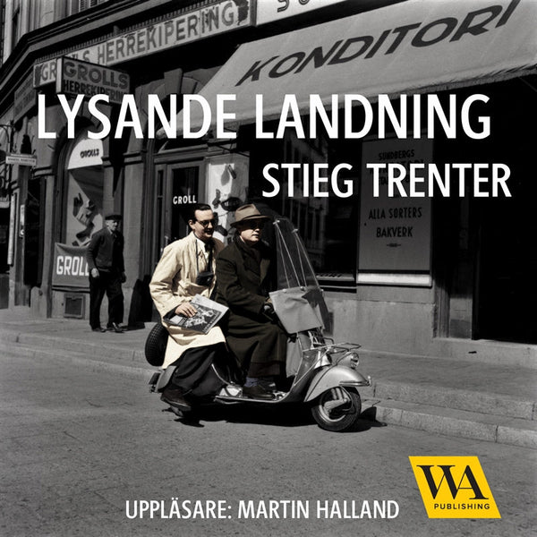 Lysande landning – Ljudbok – Laddas ner-Digitala böcker-Axiell-peaceofhome.se