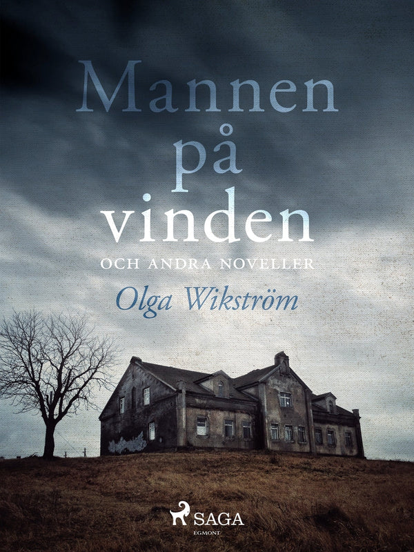 Mannen på vinden och andra noveller – E-bok – Laddas ner-Digitala böcker-Axiell-peaceofhome.se