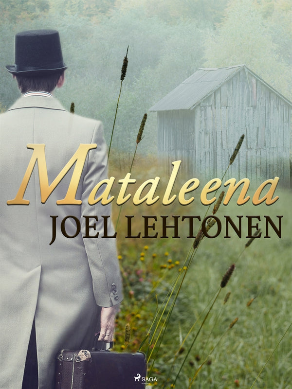 Mataleena – E-bok – Laddas ner-Digitala böcker-Axiell-peaceofhome.se