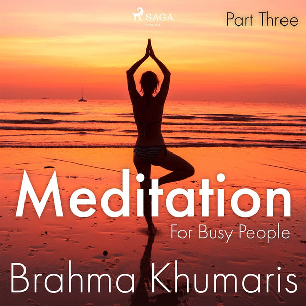 Meditation For Busy People – Part Three – Ljudbok – Laddas ner-Digitala böcker-Axiell-peaceofhome.se
