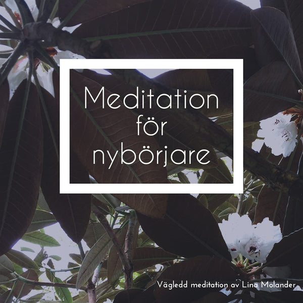 Meditation för nybörjare – Ljudbok – Laddas ner-Digitala böcker-Axiell-peaceofhome.se