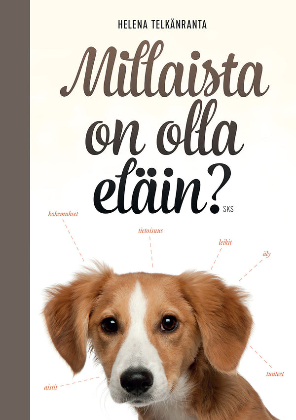 Millaista on olla eläin? – E-bok – Laddas ner-Digitala böcker-Axiell-peaceofhome.se