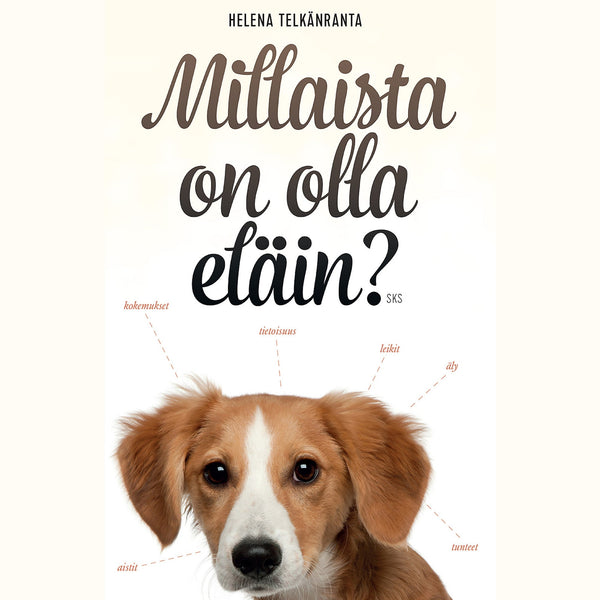 Millaista on olla eläin? – Ljudbok – Laddas ner-Digitala böcker-Axiell-peaceofhome.se