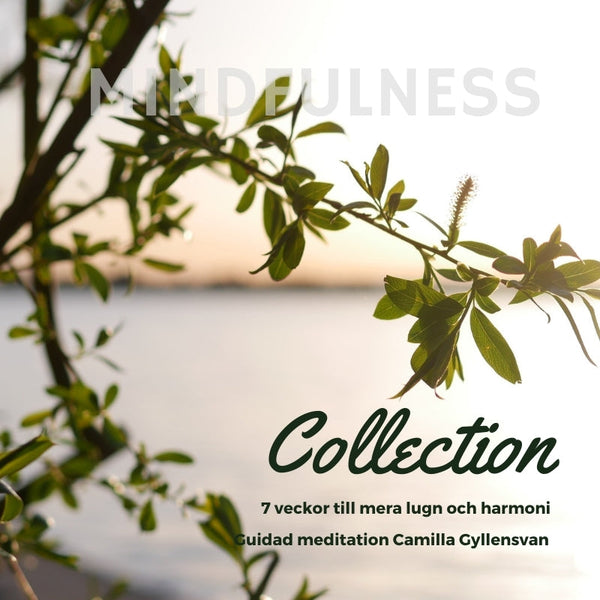 Mindfulness Collection - 7 veckor till mer lugn och harmoni – Ljudbok – Laddas ner-Digitala böcker-Axiell-peaceofhome.se