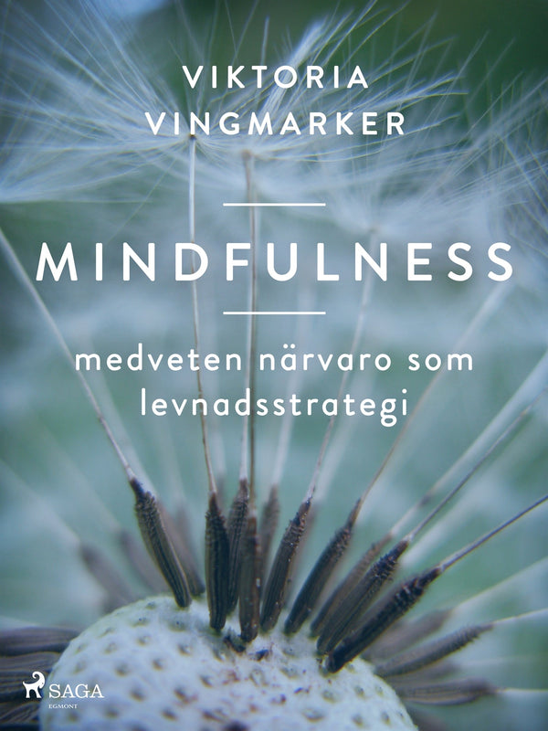 Mindfulness : medveten närvaro som levnadsstrategi – E-bok – Laddas ner-Digitala böcker-Axiell-peaceofhome.se