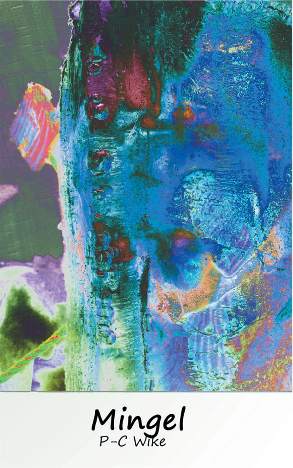 Mingel: Spår av gemenskap i köttrymden – E-bok – Laddas ner-Digitala böcker-Axiell-peaceofhome.se