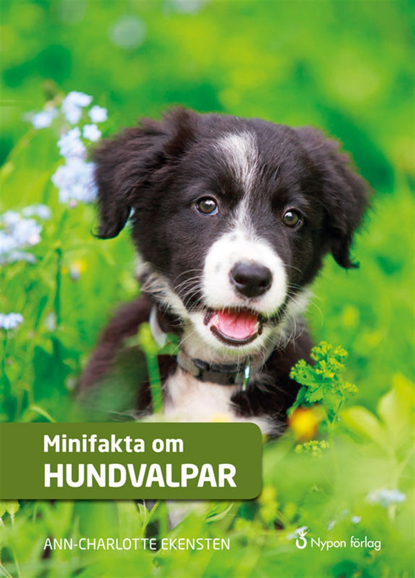 Minifakta om hundvalpar – Ljudbok – Laddas ner-Digitala böcker-Axiell-peaceofhome.se