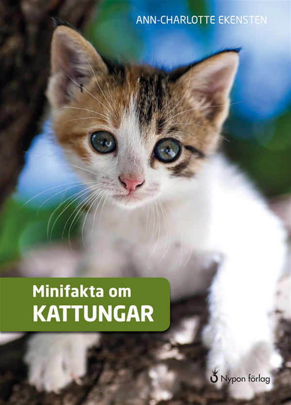 Minifakta om kattungar – E-bok – Laddas ner-Digitala böcker-Axiell-peaceofhome.se