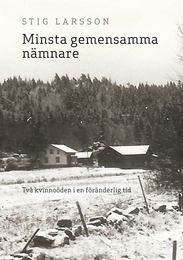 Minsta gemensamma nämnare: Två kvinnoöden i en föränderlig tid – E-bok – Laddas ner-Digitala böcker-Axiell-peaceofhome.se