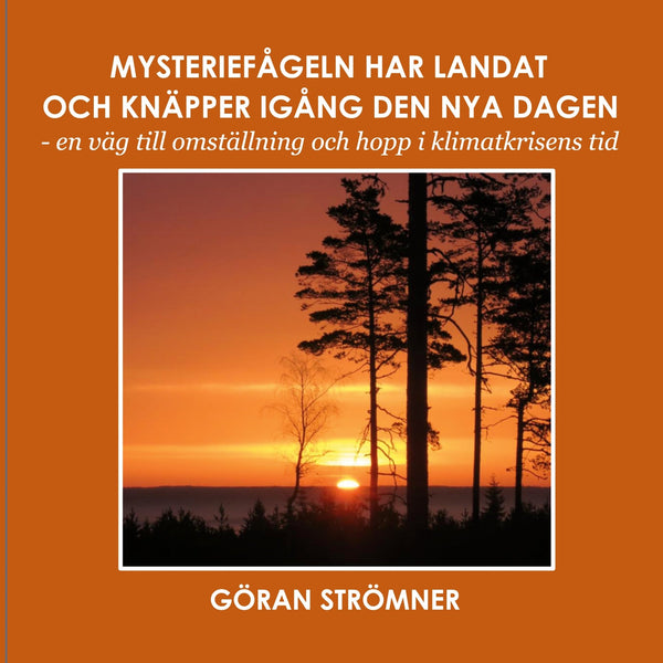 Mysteriefågeln har landat och knäpper igång den nya dagen: - en väg till omställning och hopp i klimatkrisens tid – E-bok – Laddas ner-Digitala böcker-Axiell-peaceofhome.se