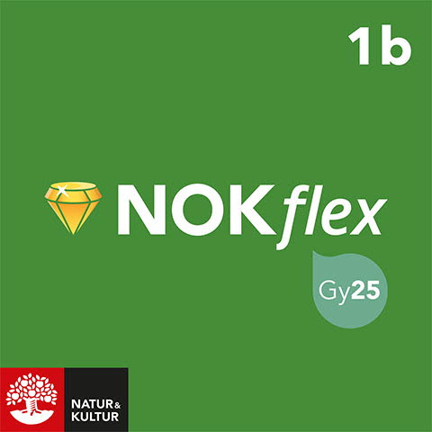 NOKflex Matematik Nivå 1b-Digitala böcker-Natur & Kultur Digital-peaceofhome.se