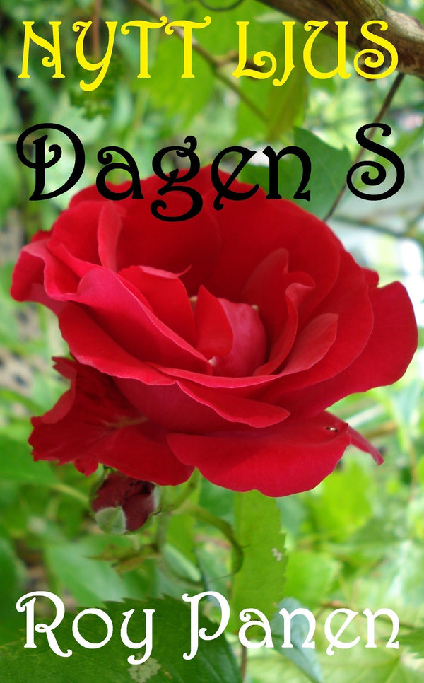 NYTT LJUS Dagen S – E-bok – Laddas ner-Digitala böcker-Axiell-peaceofhome.se