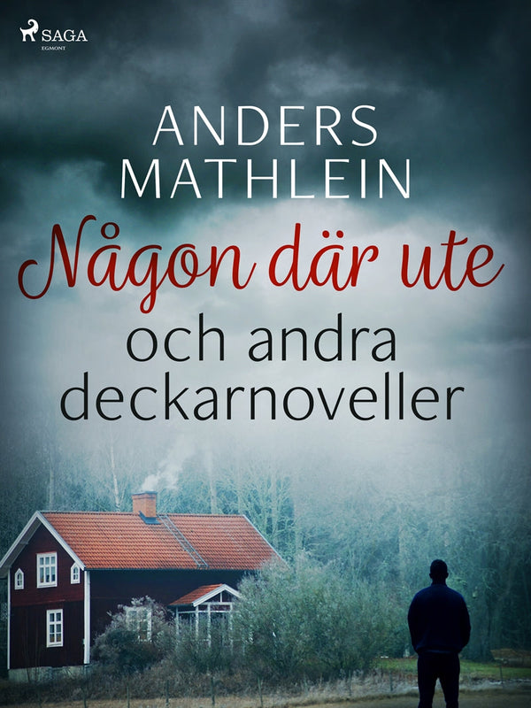 Någon där ute och andra deckarnoveller – E-bok – Laddas ner-Digitala böcker-Axiell-peaceofhome.se