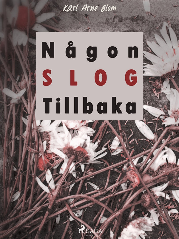 Någon slog tillbaka – E-bok – Laddas ner-Digitala böcker-Axiell-peaceofhome.se