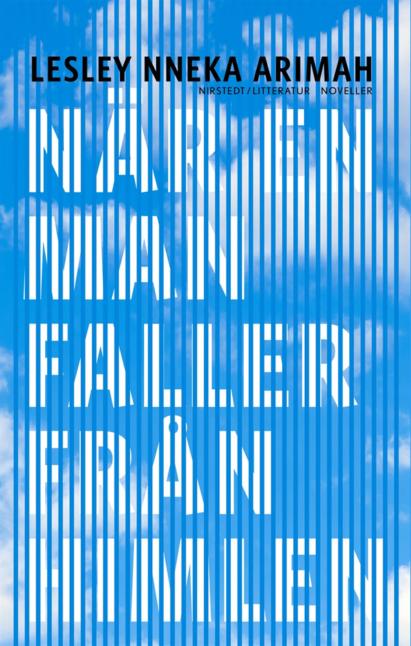 När en man faller från himlen – E-bok – Laddas ner-Digitala böcker-Axiell-peaceofhome.se