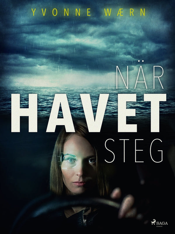 När havet steg – E-bok – Laddas ner-Digitala böcker-Axiell-peaceofhome.se