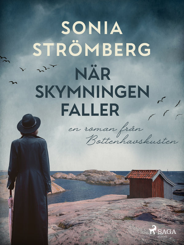 När skymningen faller – E-bok – Laddas ner-Digitala böcker-Axiell-peaceofhome.se