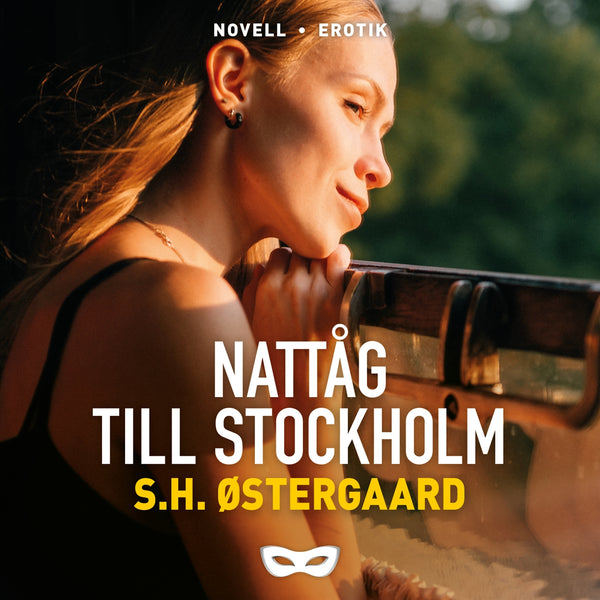 Nattåg till Stockholm – Ljudbok – Laddas ner