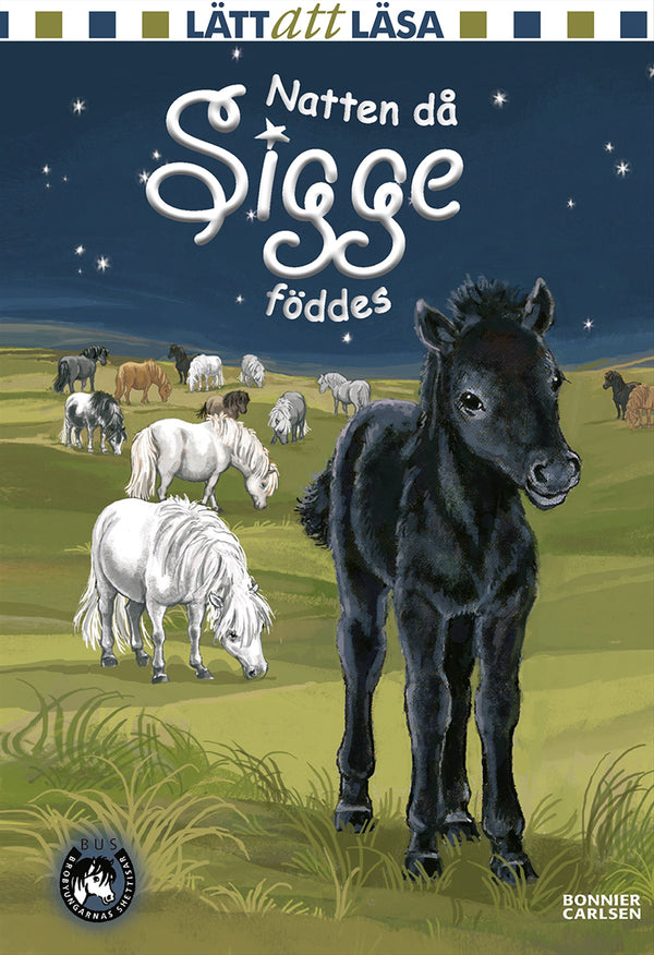 Natten då Sigge föddes – E-bok – Laddas ner-Digitala böcker-Axiell-peaceofhome.se