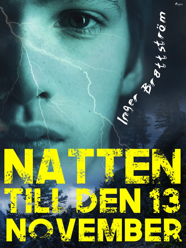 Natten till den 13 november – E-bok – Laddas ner-Digitala böcker-Axiell-peaceofhome.se