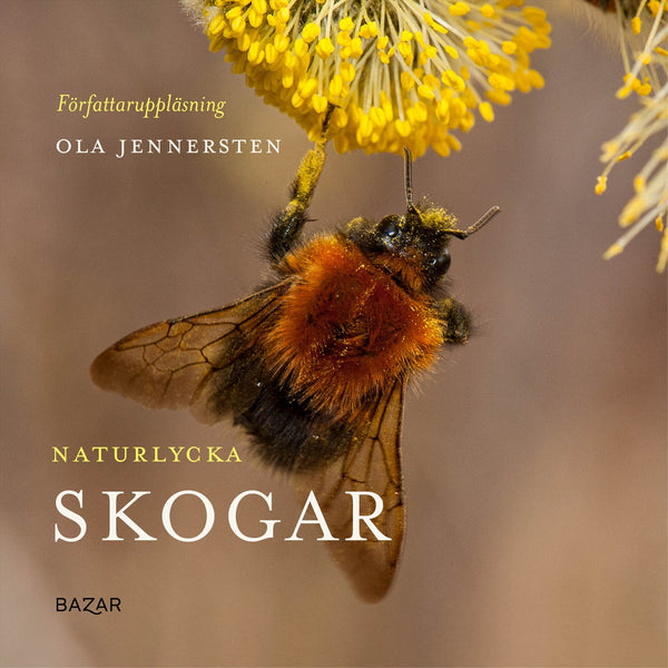 Naturlycka - Skogar – Ljudbok – Laddas ner