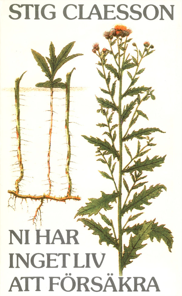 Ni har inget liv att försäkra – E-bok – Laddas ner-Digitala böcker-Axiell-peaceofhome.se