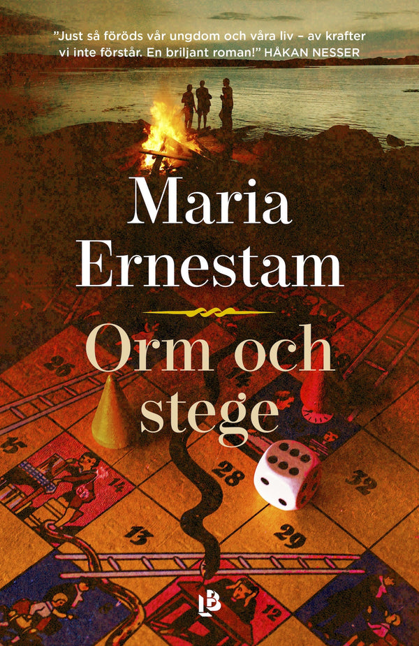 Orm och stege – E-bok – Laddas ner-Digitala böcker-Axiell-peaceofhome.se