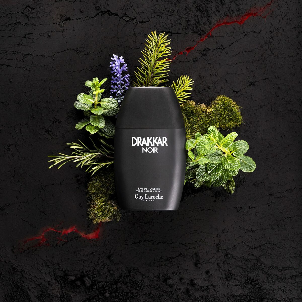 Parfym Herrar Guy Laroche EDT EDT 200 ml Drakkar Noir-Skönhet, Parfymer och dofter-Guy Laroche-peaceofhome.se