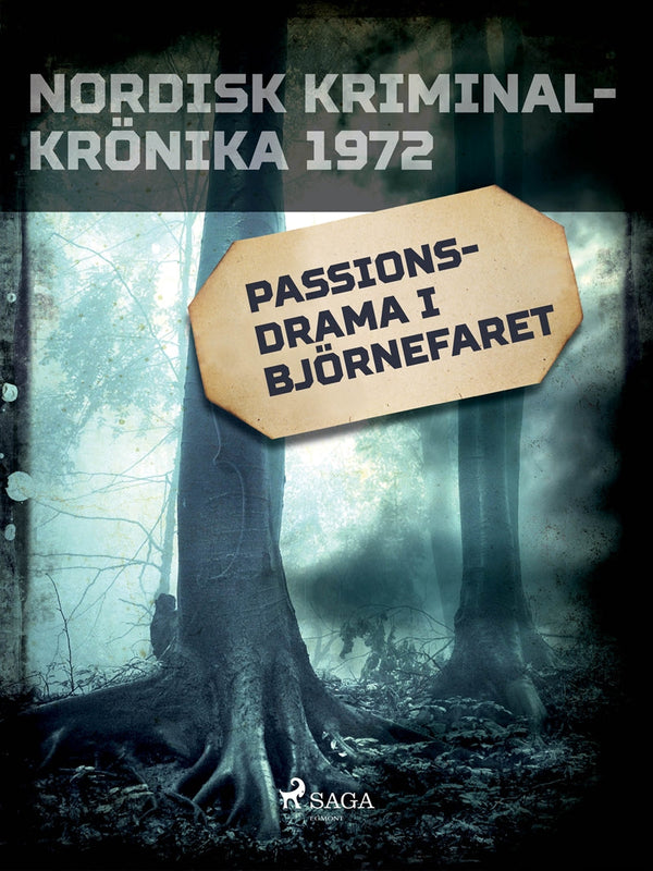 Passionsdrama i Björnefaret – E-bok – Laddas ner-Digitala böcker-Axiell-peaceofhome.se