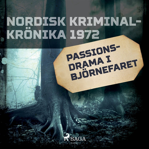 Passionsdrama i Björnefaret – Ljudbok – Laddas ner-Digitala böcker-Axiell-peaceofhome.se