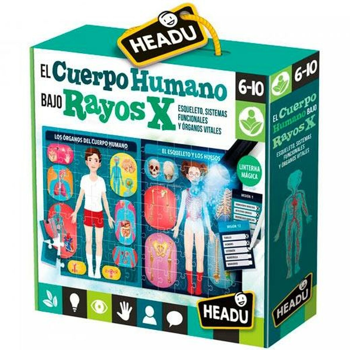 Pedagogiskt spel för små barn HEADU El cuerpo humano Rayos X (4 antal)-Leksaker och spel, Spel och tillbehör-HEADU-peaceofhome.se