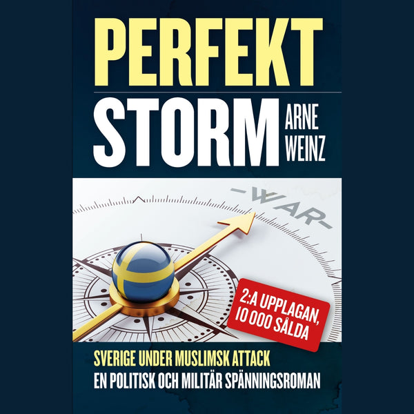 Perfekt storm – Ljudbok – Laddas ner-Digitala böcker-Axiell-peaceofhome.se