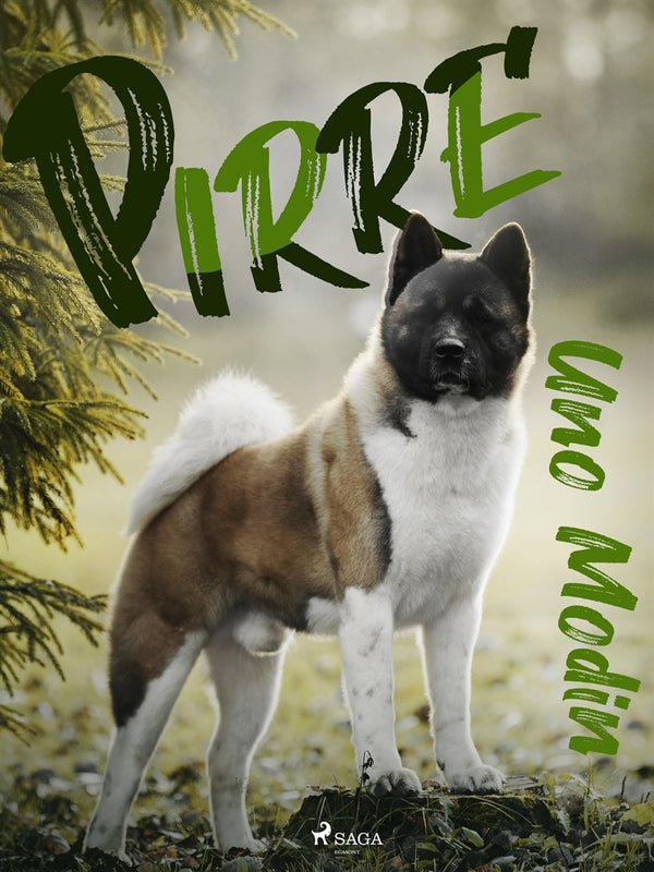 Pirre – E-bok – Laddas ner-Digitala böcker-Axiell-peaceofhome.se