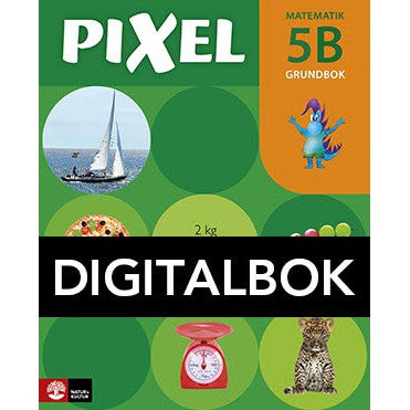 Pixel 5B Grundbok Digital u ljud,-Digitala böcker-Natur & Kultur Digital-peaceofhome.se