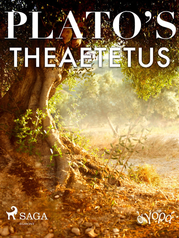 Plato’s Theaetetus – E-bok – Laddas ner-Digitala böcker-Axiell-peaceofhome.se