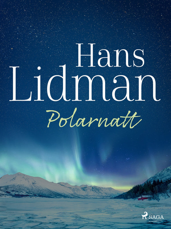 Polarnatt – E-bok – Laddas ner-Digitala böcker-Axiell-peaceofhome.se