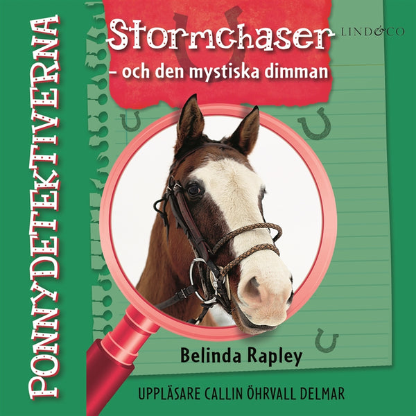 Ponnydetektiverna. Stormchaser - och den mystiska dimman – Ljudbok – Laddas ner-Digitala böcker-Axiell-peaceofhome.se