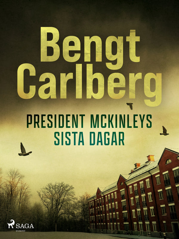 President McKinleys sista dagar – E-bok – Laddas ner-Digitala böcker-Axiell-peaceofhome.se