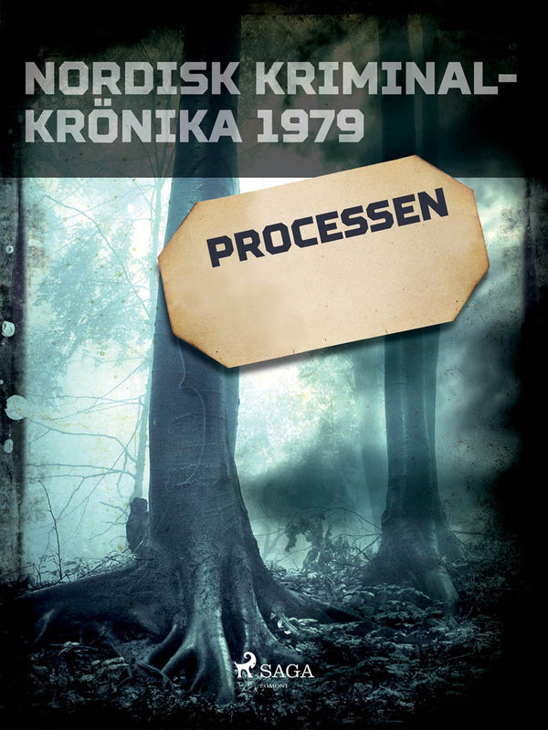 Processen – E-bok – Laddas ner-Digitala böcker-Axiell-peaceofhome.se