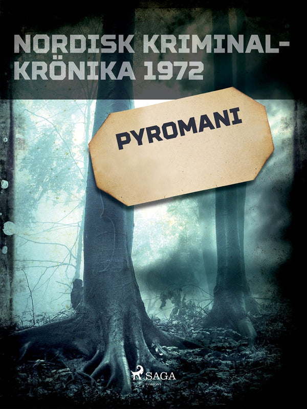 Pyromani – E-bok – Laddas ner-Digitala böcker-Axiell-peaceofhome.se