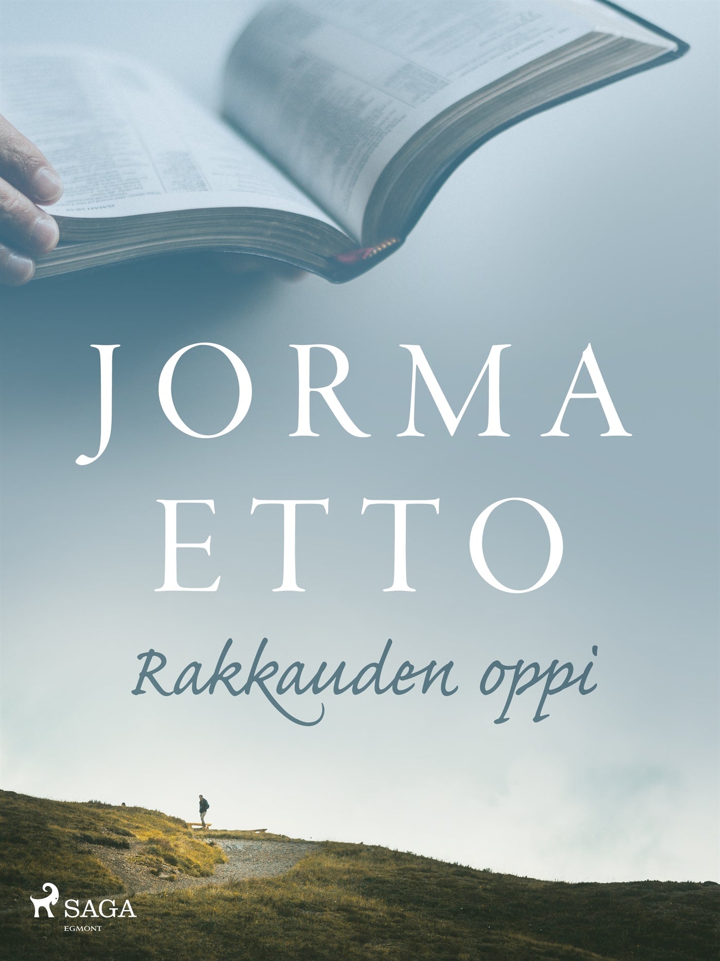 Rakkauden oppi – E-bok – Laddas ner-Digitala böcker-Axiell-peaceofhome.se