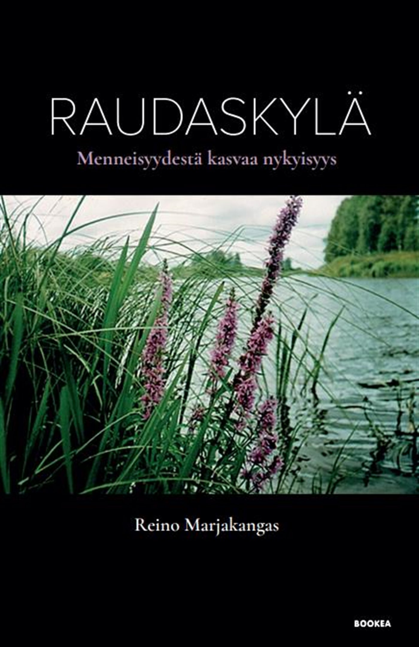 Raudaskylä : menneisyydestä kasvaa nykyisyys – E-bok – Laddas ner-Digitala böcker-Axiell-peaceofhome.se