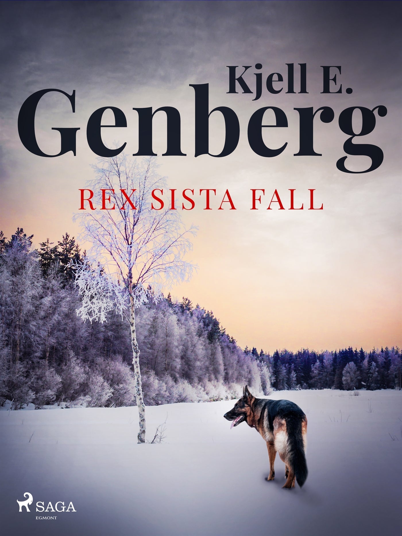 Rex sista fall – E-bok – Laddas ner-Digitala böcker-Axiell-peaceofhome.se