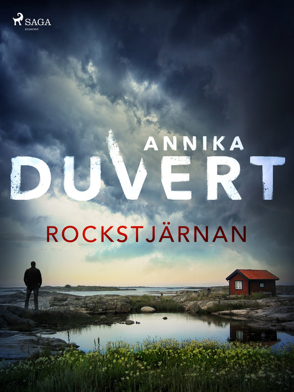 Rockstjärnan – E-bok – Laddas ner-Digitala böcker-Axiell-peaceofhome.se