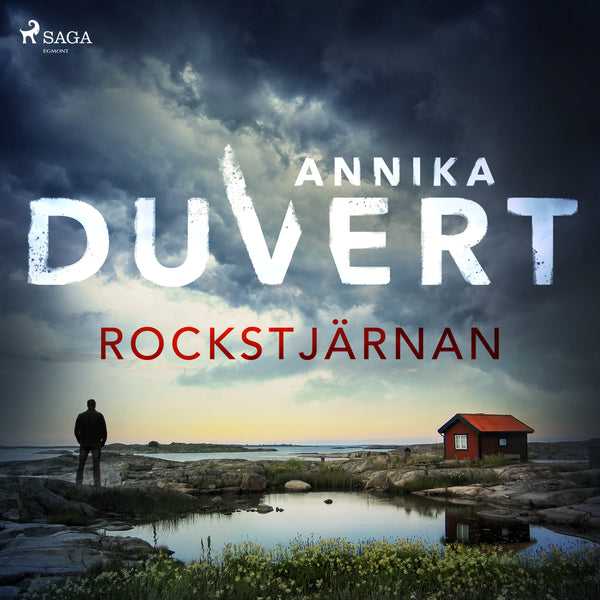 Rockstjärnan – Ljudbok – Laddas ner-Digitala böcker-Axiell-peaceofhome.se